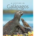 thumbnail image 1 of Libro A Lifetime In Galapagos Tapa Dura, Autor Tui De Roy, Editorial Princeton University Press, 1 of 1