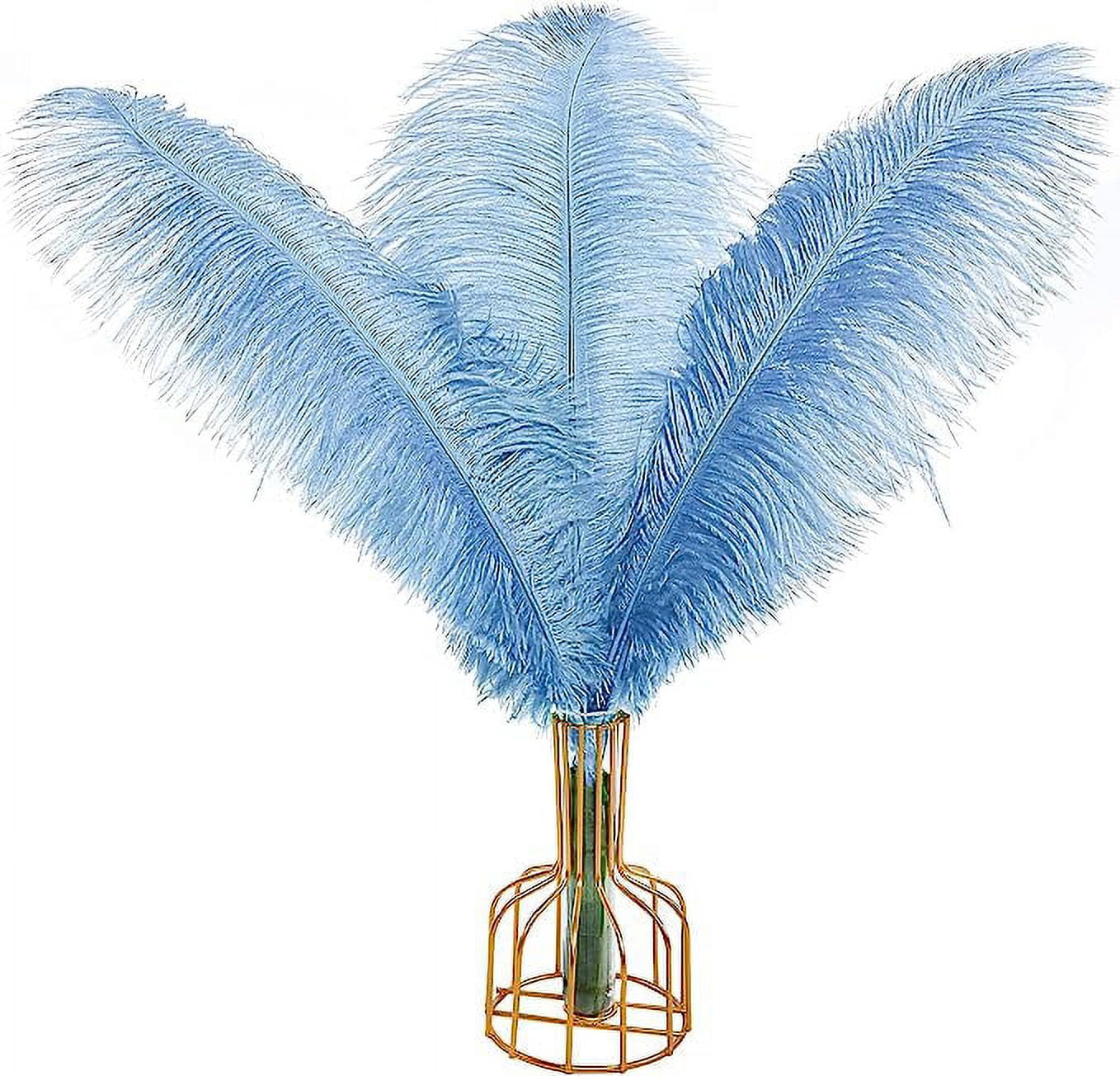 XmhyTop-A 12pcs Baby Blue Ostrich Feathers Natural Bulk 16-18Inch 40cm-45cm for Wedding Party Centerpieces Easter Gatsby and Home Decorate Ostrich Feathers