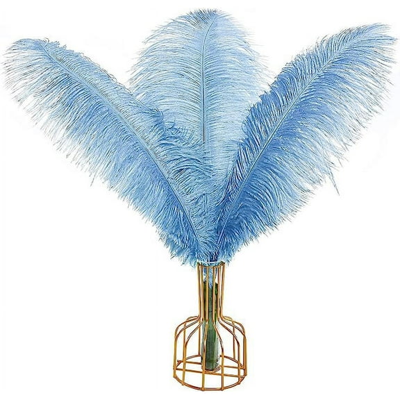 ERDOUY 12pcs Baby Blue Ostrich Feathers Natural Bulk 16-18Inch 40cm-45cm for Wedding Party Centerpieces Easter Gatsby and Home Decorate Ostrich Feathers