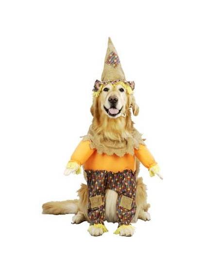 jedi robe for dog