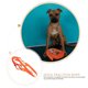 thumbnail image 3 of unbranded Correa Cuerda Para Perros De Material PP Para Paseos Con Control Óptimo Y Resistencia, 3 of 8