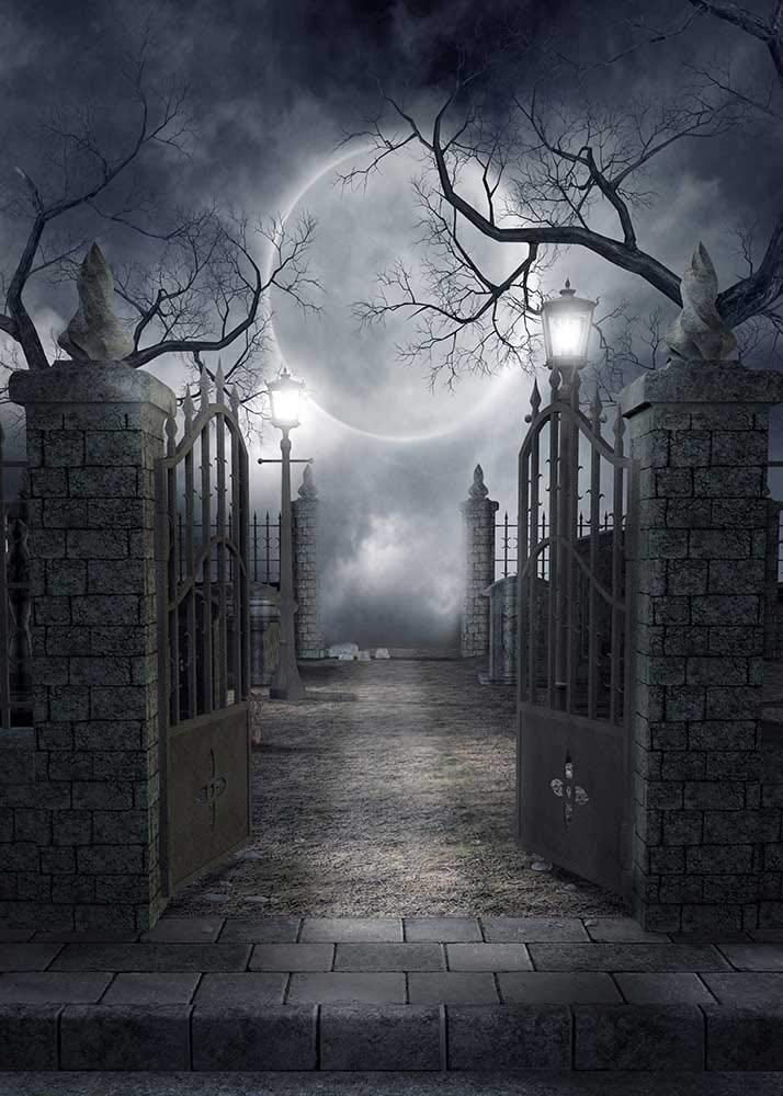 Halloween Theme Photography Background Spooky Halloween Dark Horror Moon  And Dead Trees Party Decoration Photo Studio Props Backdrops Booth Vinyl  5x7 ft 