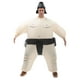 thumbnail image 1 of Traje inflable de sumo japonés para niños y adultos, traje inflable de dibujos animados, ropa de lucha de sumo multicolor, 1 of 5