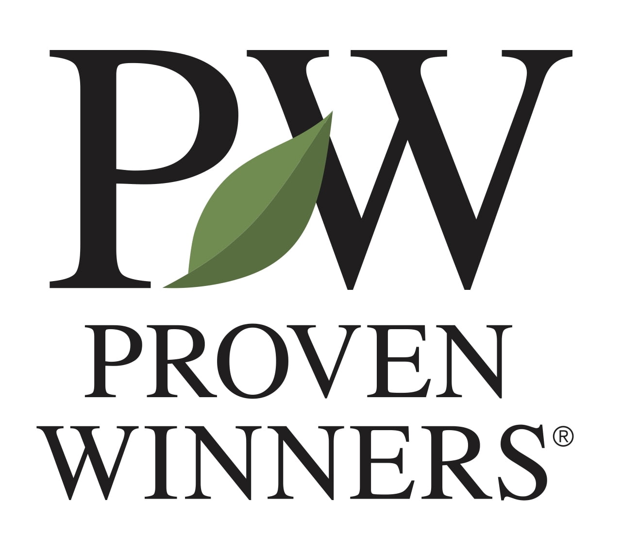 Proven Winners 1.56PT Sedum Lemon Coral Variety Lime Live Plant