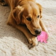 thumbnail image 3 of Dog Toy Squeaky Dog Toothbrush Teeth Cleaning Teething Stick Pet Educational Chewing Toy Helps Dog, 3 of 5