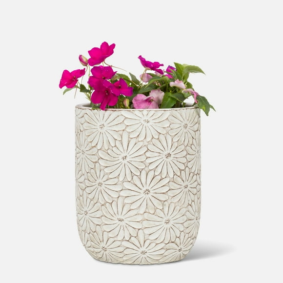 Linen Chest White Daisy Planter - 6.5"