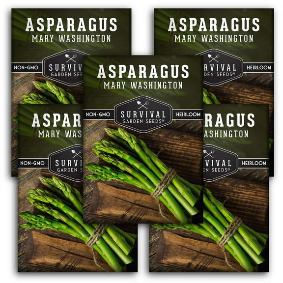 5 Packs Mary Washington Asparagus - Non-GMO Heirloom Vegetable Seeds - Full Sun Perennial