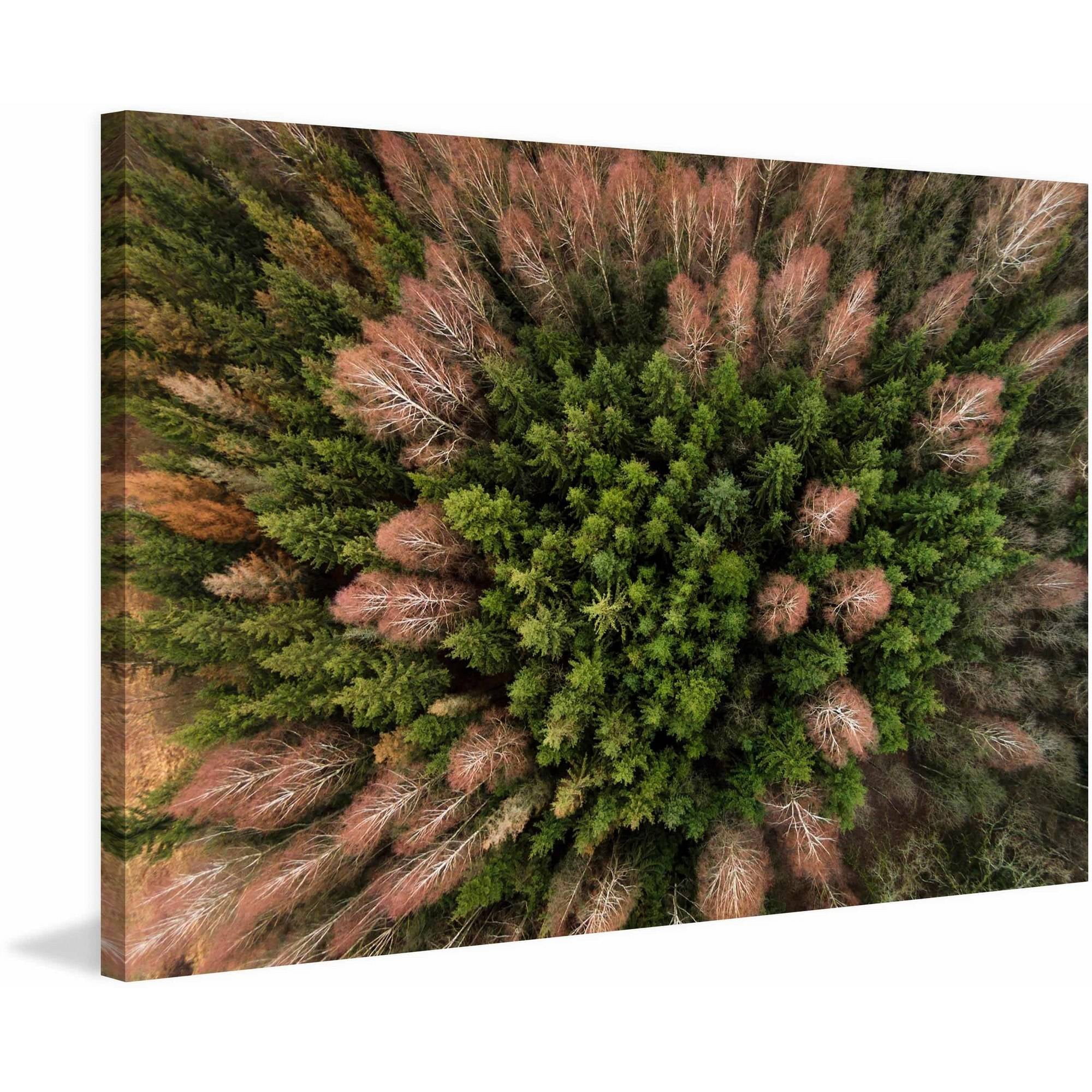 Marmont Hill "Feather Trees" by Karolis Janulis Painting Print on Wrapped Canvas