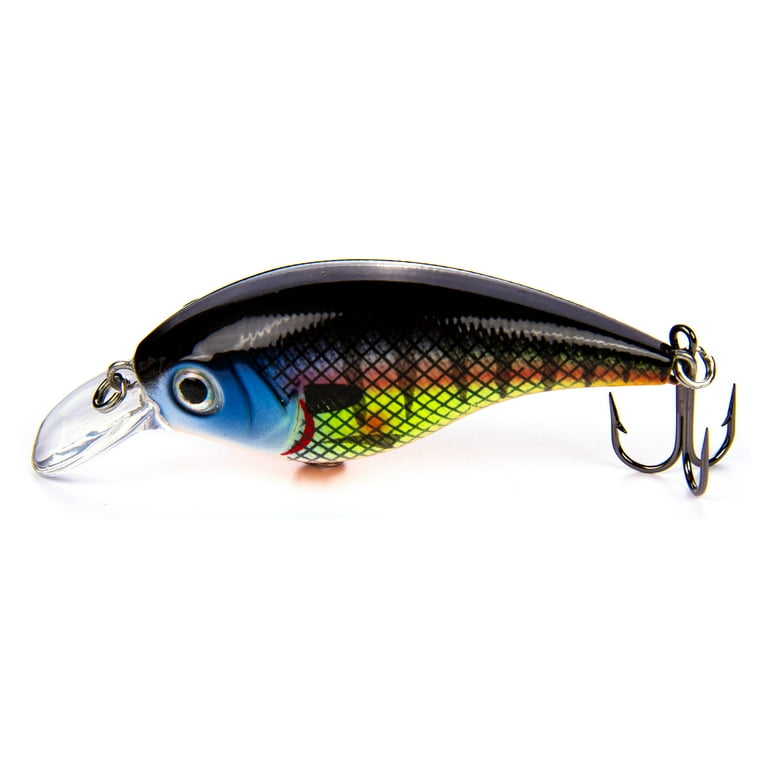 ルアー・フライ DOWLUCK CRANKER BAIT ONLY SURFACE BAIT ルアー・フライ DOWLUCK CRANKER BAIT ONLY SURFACE BAIT Amazon