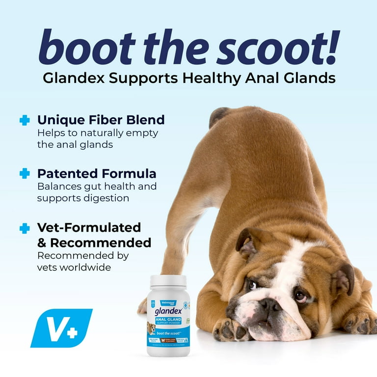 Glandex hotsell for cats