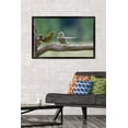 thumbnail image 2 of The Comedy Wildlife Photography Awards: Jacek Stankiewicz - Dispute Wall Poster, 22.375" x 34" Framed, 2 of 5