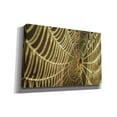 thumbnail image 2 of Epic Graffiti 'The Spider and Her Jewels' by Martin Podt, Canvas Wall Art, 60"x40", 2 of 3