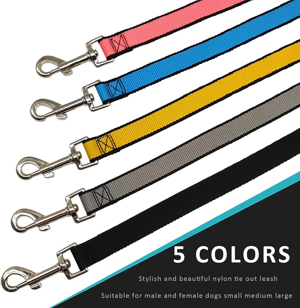 long leash for backyard