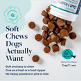 thumbnail image 5 of Veterinary Formula Gut Health Supplement for Digestion Support, Smart Vitality for Dogs, 60 chews, 5 of 10