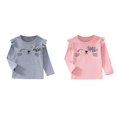 thumbnail image 1 of (Lot de 2) Rinsvye T-Shirt à Col Rond Doux pour Tout-Petits Manches Longues 2T Hauts Fille Confort Basique Junior Hauts Imprimé Manches Longues T-Shirt Arc-en-Ciel Blouse, 1 of 4