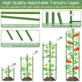 thumbnail image 3 of ZeeDix 2 Pack Tomato Cages for Garden,Up to 63in(5.2FT) Adjustable Tall Tomato Cage,Garden Stakes Tomato Trellis for Pots,Tomato Plant Support for Raised Garden Bed &Vegetables Flowers(Green), 3 of 8