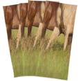 thumbnail image 4 of SKYSONIC 1 pack Running Horse Kitchen Dish Towels,Dishcloths,Absorbent Soft Towels Hand Towels, 18" x 28", 4 of 7