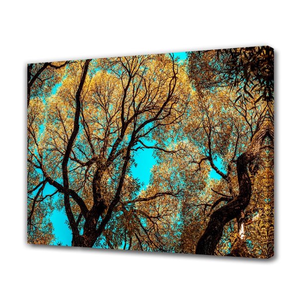 Póster de lienzo con árboles imponentes contra un cielo azul claro, decoración de dormitorio, paisaje deportivo, decoración de oficina, regalo, estilo marco, 12 x 18 pulgadas (30 x 45 cm)