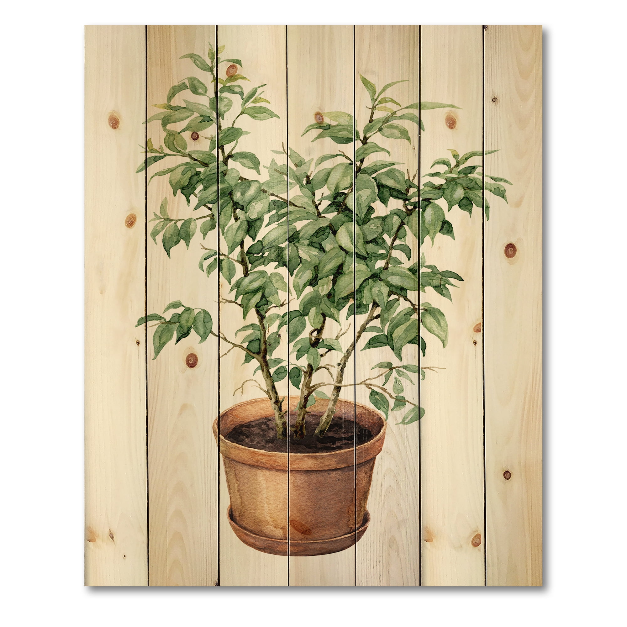 Designart 'Ficus Benjamina Plant In Clay Flowerpot' Traditional Print on Natural Pine Wood