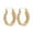 Rose Gold, variant on SeekLGT Gold Plated Hoop Earrings for Women, Small Twisted Thickened Oval Earrings, Elegant Polished Fashion Jewelry, 1 Pair