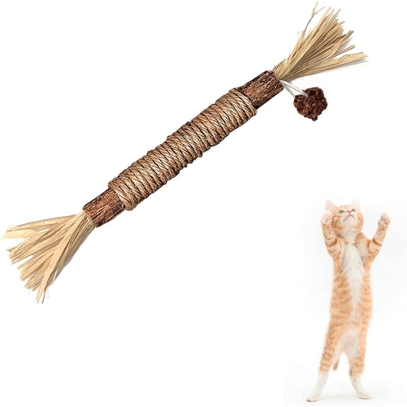 Natural Silvervine Dental Sticks，New 2026 model with mixed catnip, cute interactive toy.