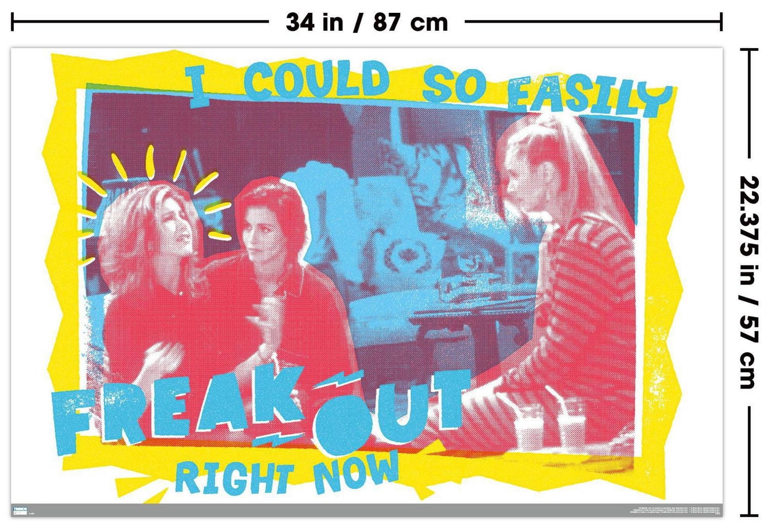 Friends - Freak Out Wall Poster, 22.375" x 34"