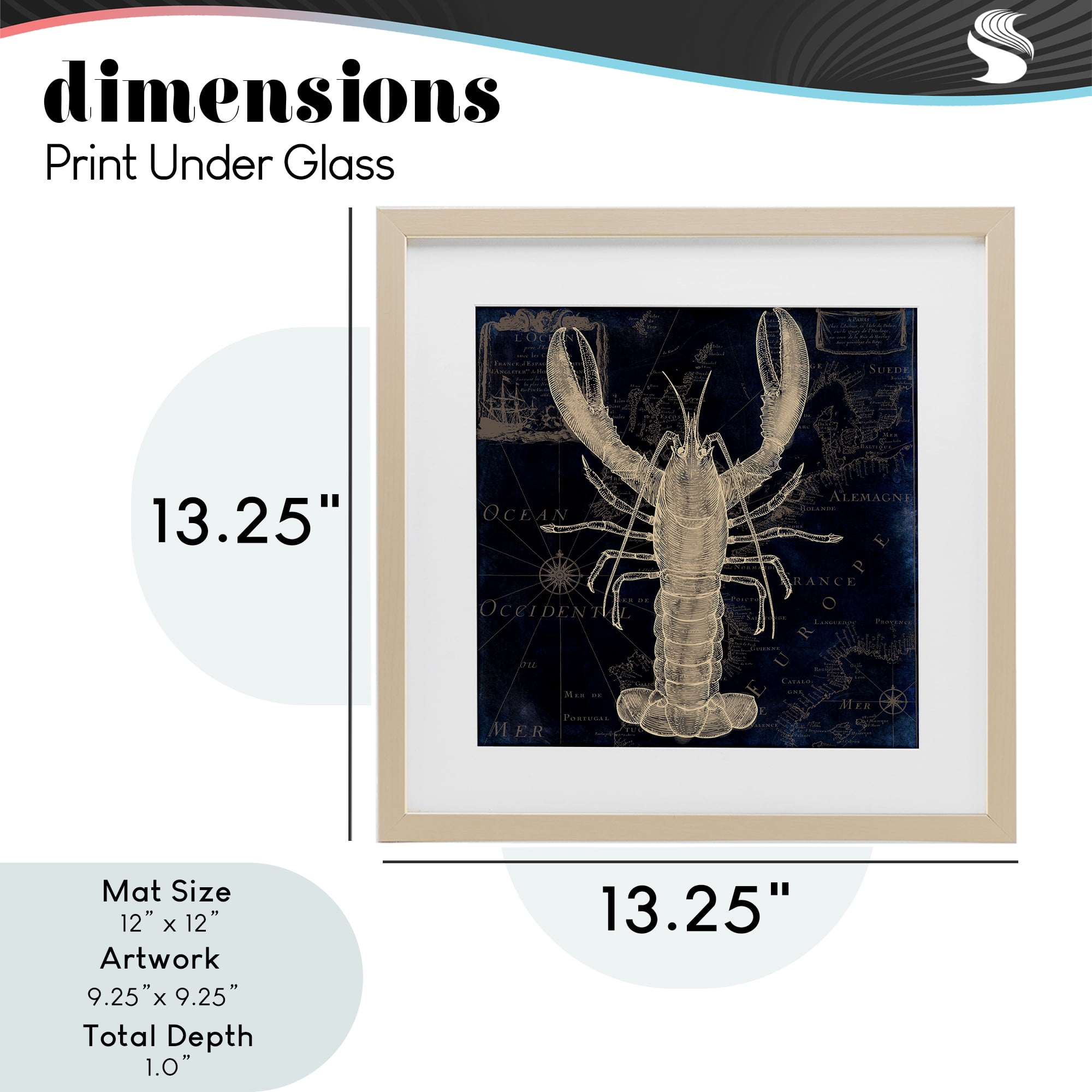 Lobster Contour over Map Birch Framed Print Under Glass, design by Sasha