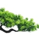 thumbnail image 3 of Matsuzay Faux Tree Artificial Plant Green Pot Garden Decor DIY Prop Oficina Hotel Sala de estar Pasillo Decorativo Calcomanía para el hogar Decoración Tipo 2 Matsuzay HA083962-02, 3 of 6