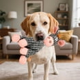 thumbnail image 3 of BotaniNest 2 In 1 Indestructible Interactive For With Squeaker Multifunctional Made Of Soft Dogs, 3 of 5