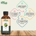 thumbnail image 2 of Aceite Esencial Fir Needle Organic Zing Natural 30ml para Cuidado de Piel, Cabello y Cuerpo, 2 of 7