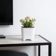 thumbnail image 4 of Colorful Breathable Mini Succulent Planter Pots with Drainage Trays, Lightweight Shatterproof Plastic Plant Pots, Porous Airflow Small Gardening Container for Indoor Home Office Desk Decor, 4 of 6