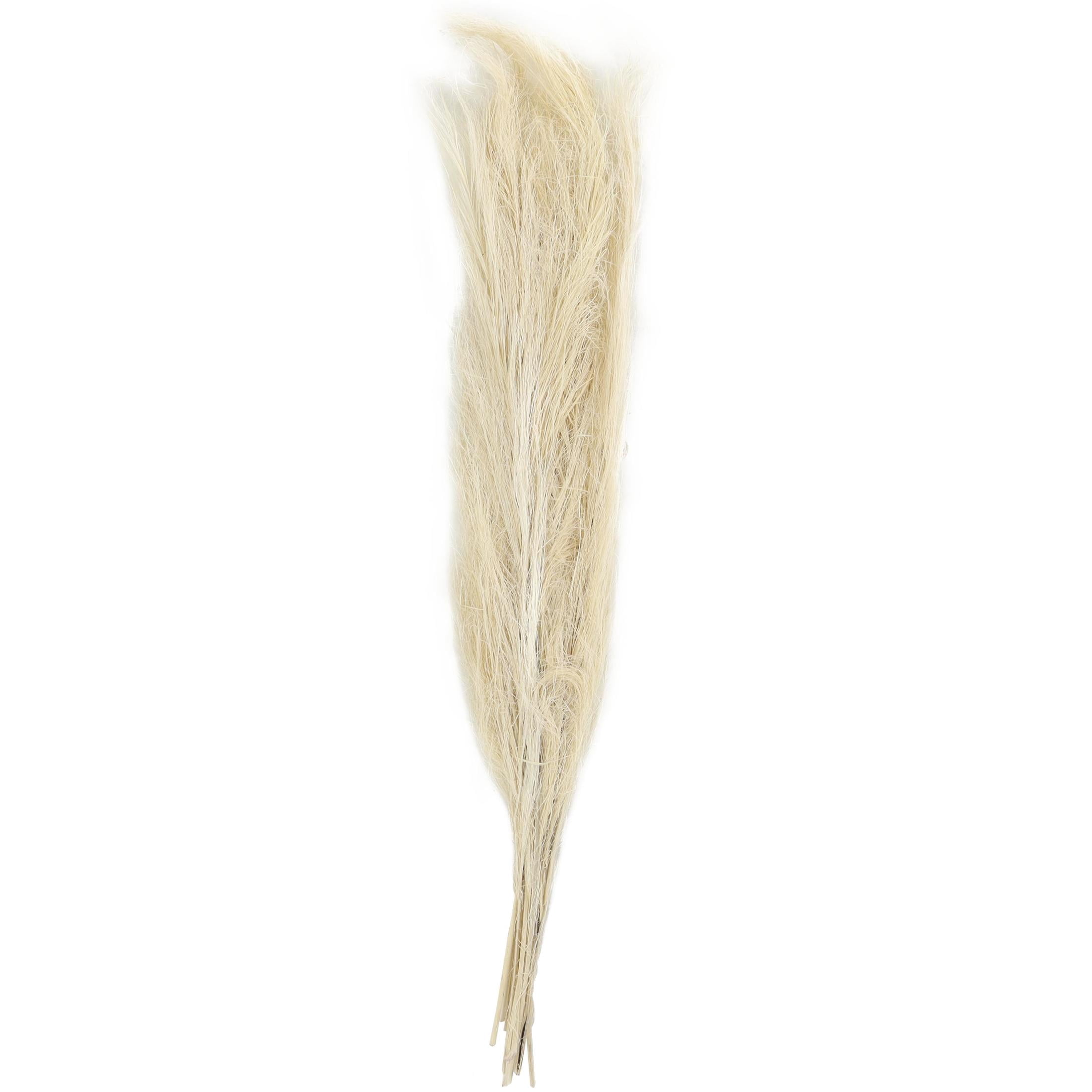 35" Tall Grass Dried Plant Natural Foliage Feather Like Leaves Bouquet with Stems, by DecMode