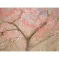 thumbnail image 2 of Gulin, Sylvia 32x25 Black Ornate Wood Framed with Double Matting Museum Art Print Titled - Washington State-Fall City springtime and cherry trees just beginning to bloom, 2 of 4