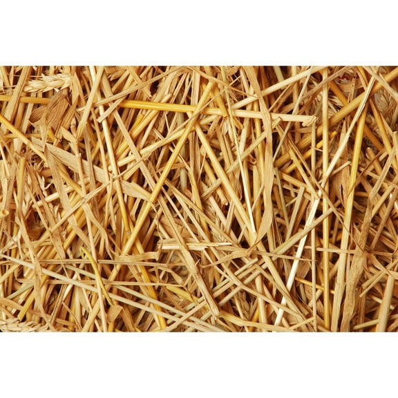 Double F Farms Premium 100% Natural Straw for Animal Bedding, Garden Mulch, Compost & Fertilizer, and Grass Cover (4LB)