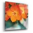 thumbnail image 2 of Epic Art 'Floral Pop III' by Lori Deiter, Acrylic Glass Wall Art, 36"x36", 2 of 8