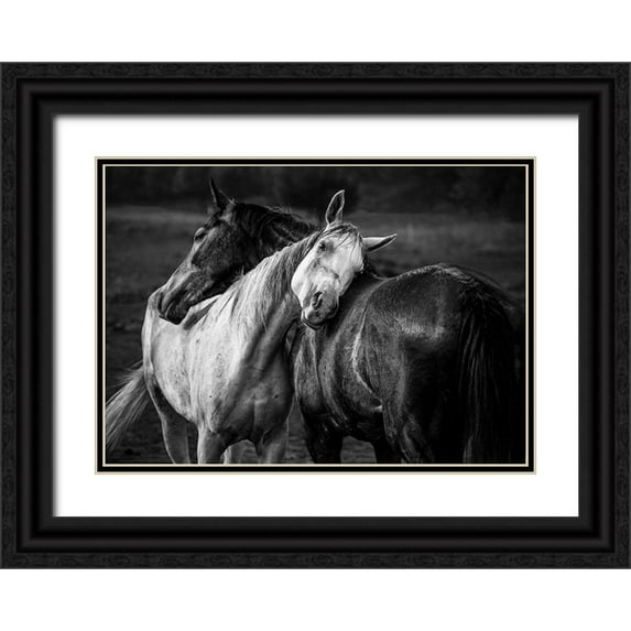 Chapa, Niko 18x14 Black Ornate Wood Framed with Double Matting Museum Art Print Titled - Warm Rain