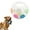 C, variant on dog toy soccer ball with handles,Toss and Fetch Play, Interactive Ball for Dogs Playing, Squeaky Floating,for Water Play,Training & Outdoor Games (A+C)