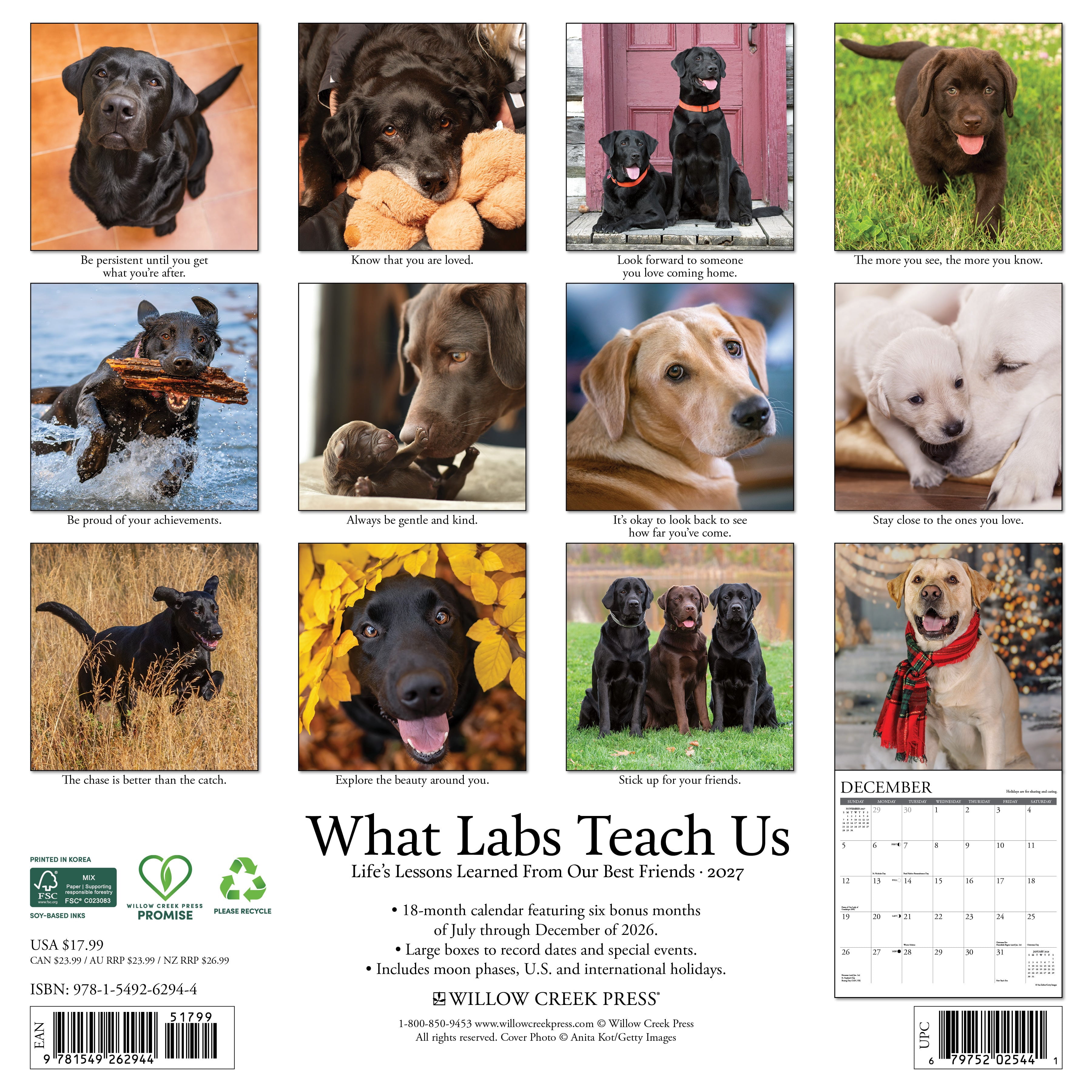 Willow Creek Press, What Labs Teach Us 2027 Wall Calendar