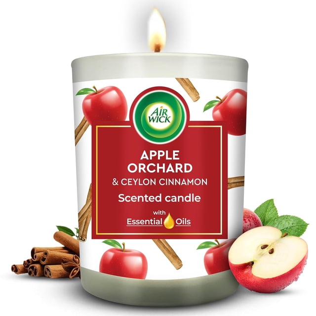 Airwick Scented Candle for Home & Gift Purpose|Apple Orchard & Ceylon Cinnamon Aroma Fragrance