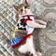 thumbnail image 2 of Sphynx camiseta Para gatos, chaleco transpirable, Ropa Para Mascotas, traje Para perros, 2 of 4
