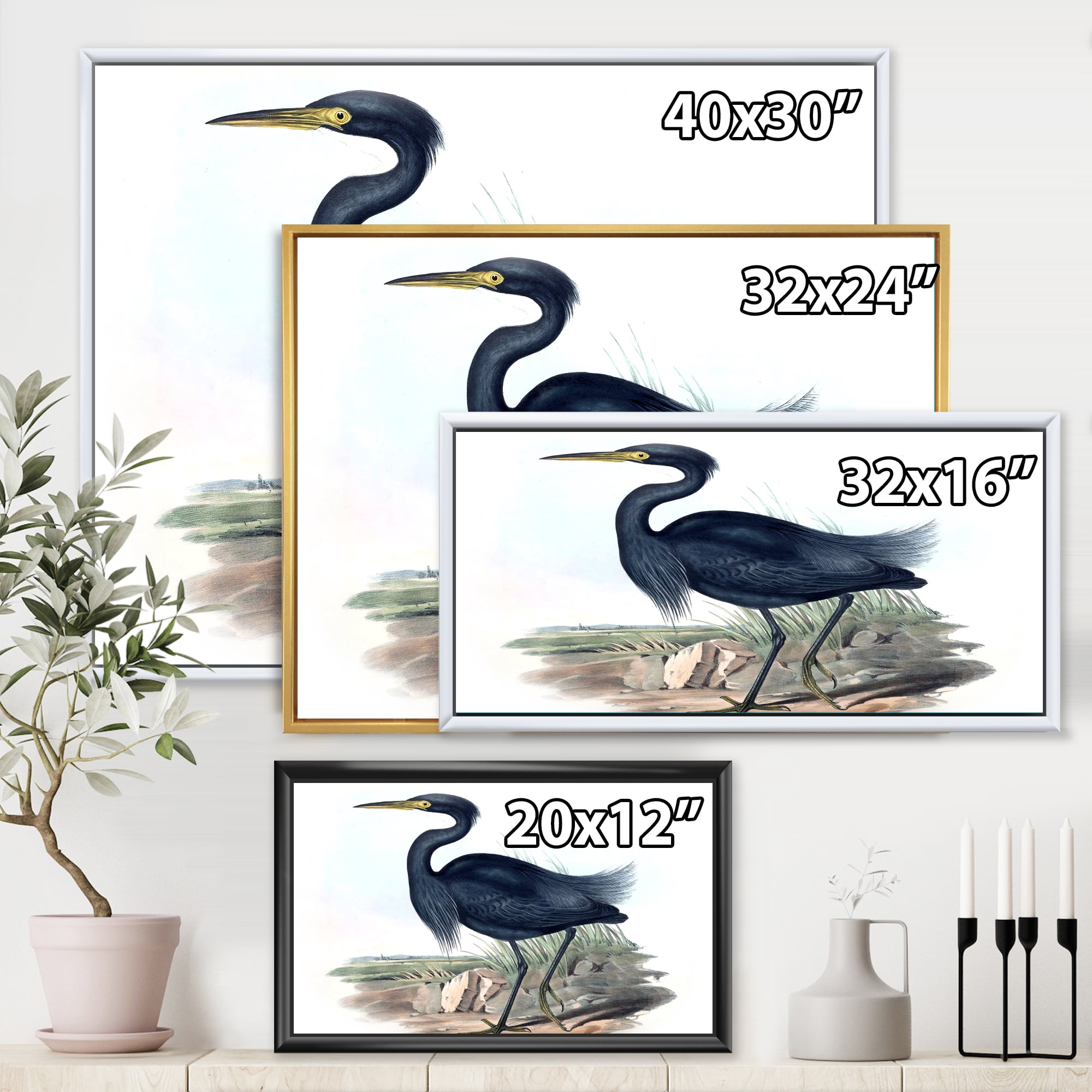 Designart 'Ancient Australian Birds III' Traditional Framed Canvas Wall Art Print