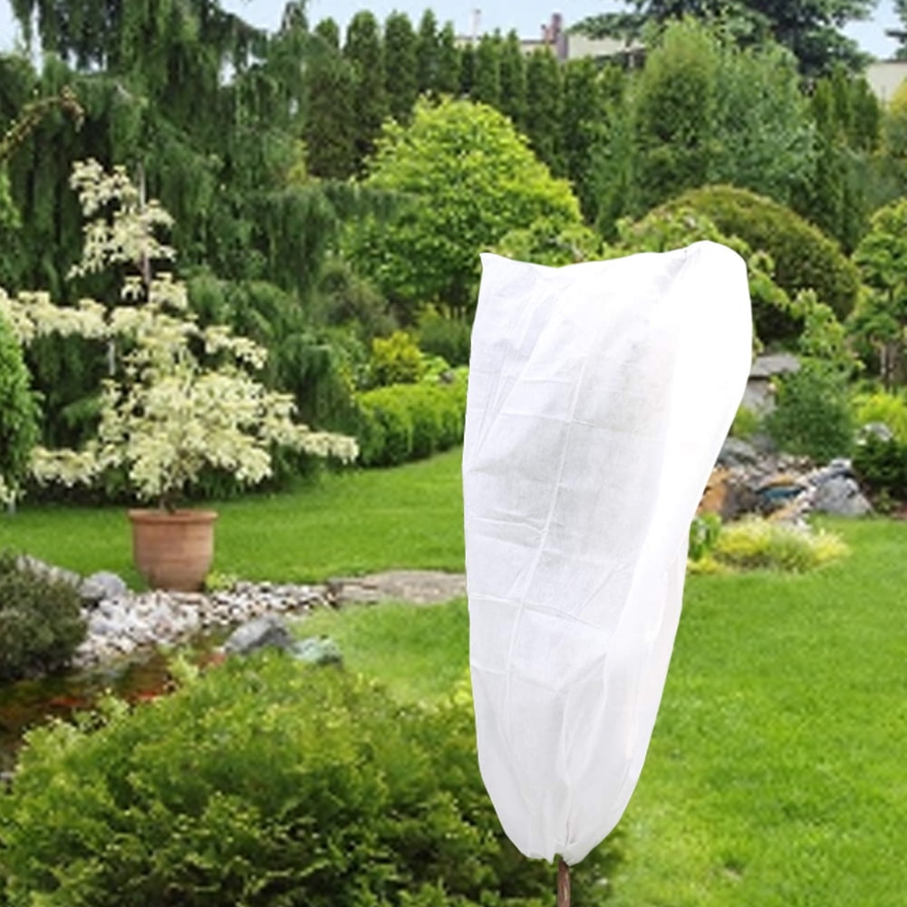 Plant Cover, Frost Covered Plant Covered Garden Plant Covered Winter