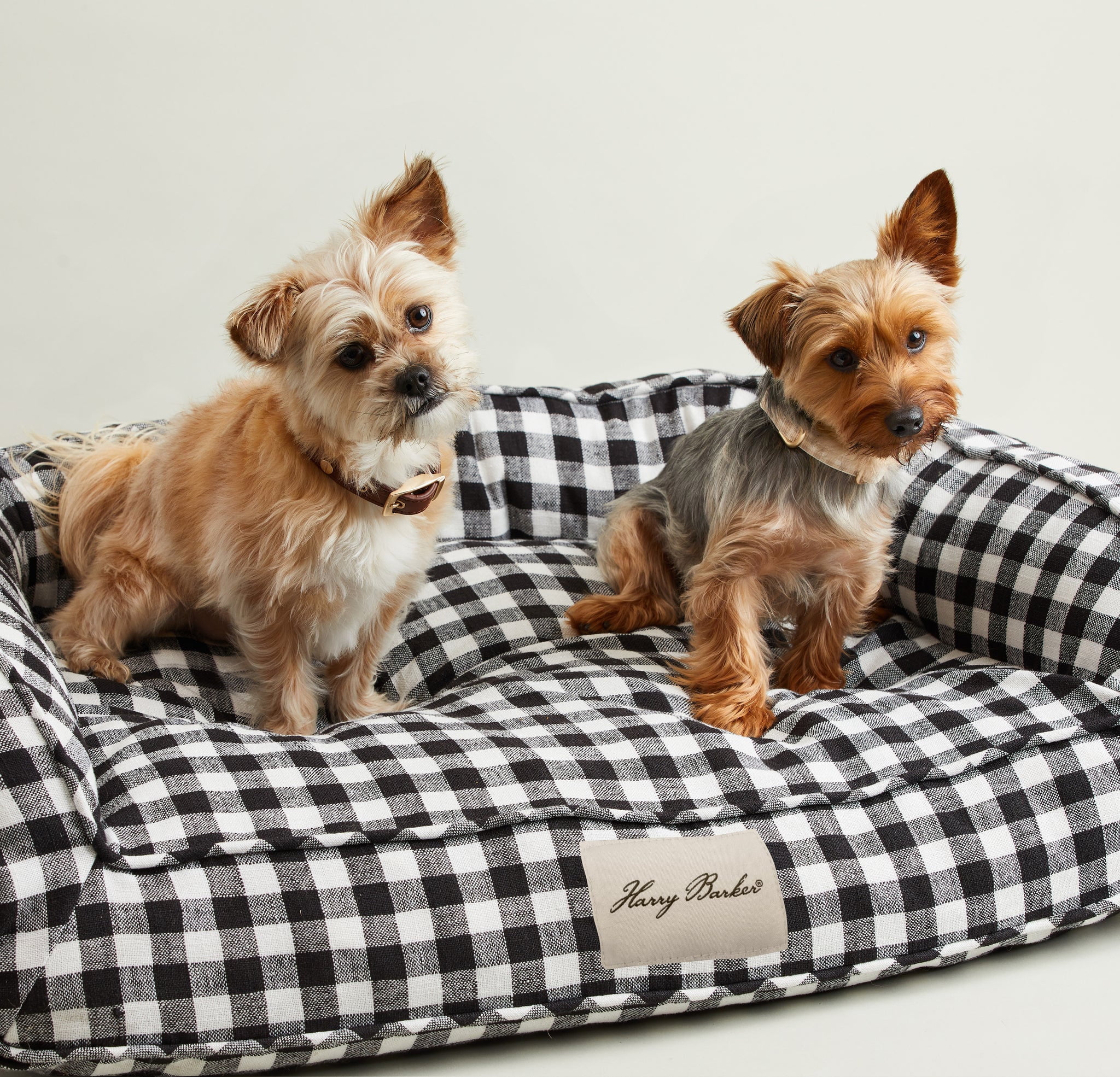 Harry Barker Black Buffalo Check Lounger Bed, Medium