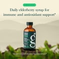 thumbnail image 3 of Gaia Herbs Black Elderberry Syrup - Made with Organic Black Elderberries (Sambucus nigra) for Immune System Support* - USDA Certified Organic Formula - 3 Fl Oz (About 18 to 71 Servings), 3 of 9