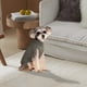 thumbnail image 2 of Suéter acogedor para razas pequeñas y grandes Diseño de punto suave para una comodidad máxima Ideal para el clima frío Duradero y fácil de limpiar Perfecto para uso en interiores y exteriores, 2 of 4