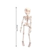thumbnail image 2 of Halloween Skeleton Decorations 8 Inch Glow in Dark Plastic Skeleton Refrigerator Spooky Halloween Decor for Kitchen Fridge Home Office 1 Pack, 2 of 5