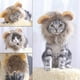 thumbnail image 4 of Peluca de melena para gato, ajustable, lavable, cómoda, para Halloween, Navidad, festival de Pascua y fiesta, 4 of 8