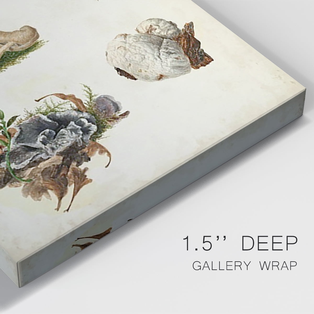 Mushroom Species X Premium Gallery Wrapped Canvas - Ready to Hang