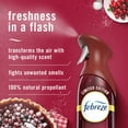 thumbnail image 2 of Febreze Air Mist, Odor-Fighting Air Freshener, Cranberry Crumble, 8.8 oz. Aerosol, Pack of 2, 2 of 11