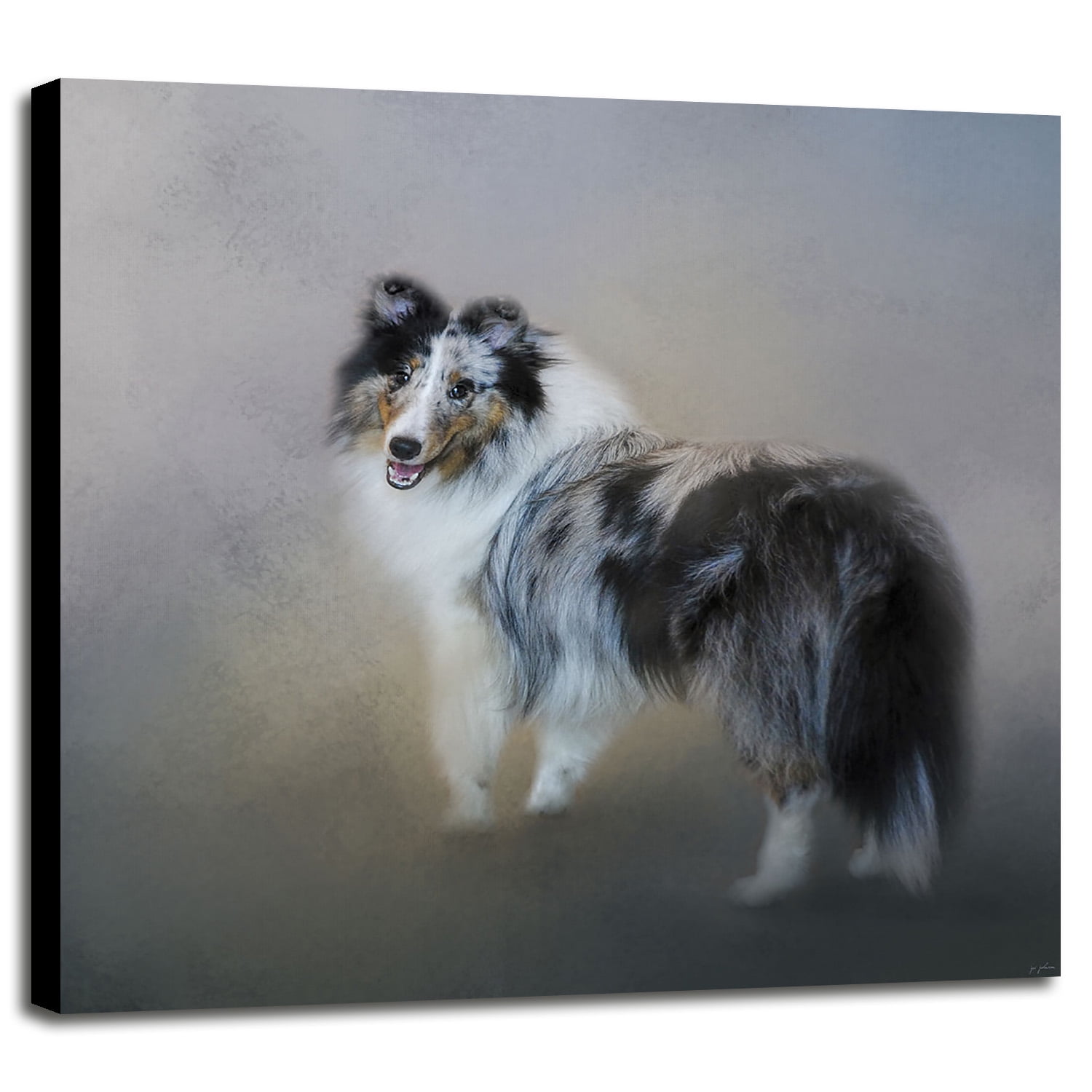 blue merle sheltie stuffed animal